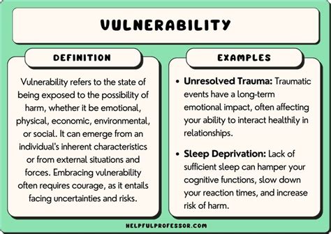 Making Sense of Vulnerabilities and。